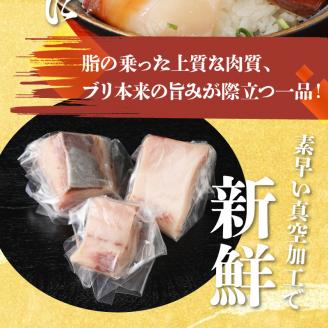 【12ヵ月定期便】大和海商 大和ブリの切り身 N072-YG0184