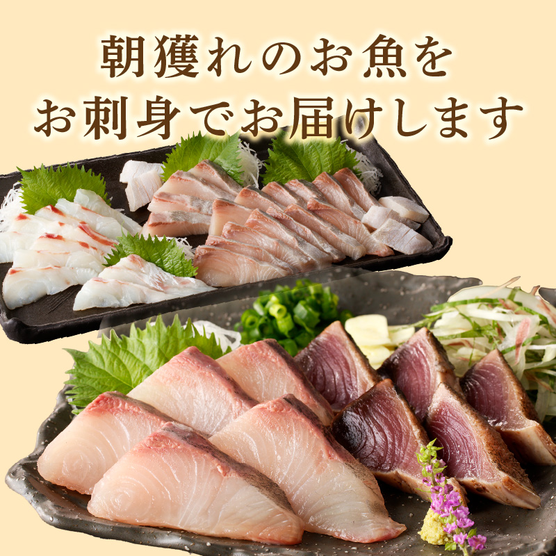 【12ヶ月定期便】大和の高級お刺身6人前 N072-YG0183_2