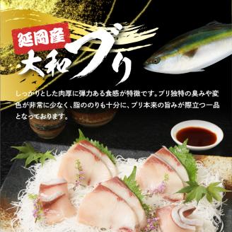 【12ヶ月定期便】大和海商大和ブリの切り身たっぷりセット N072-YH053