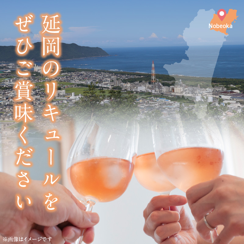 贅沢なリキュール　桃酒・栗酒  ２本セット N076-YA971