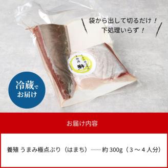 数量限定日向灘ぶり(はまち)うまみ極点製法食べきりﾊﾟｯｸ300g N124-YZA3304