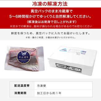 【冷凍】かんぱち スキンレスロイン 500g N018-YA4434-2