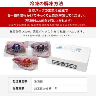 【冷凍】ぶり たい かんぱち スキンレスロイン 各種900g N018-YE127-2