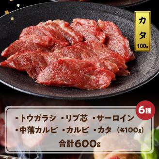 宮崎牛 焼肉食べ比べ6種盛600g N0140-YB446
