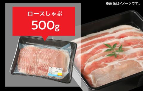 豚ロースとんかつ100g×5ロースしゃぶ500gヒレとんかつ400g計1.4kg N0147-YA861