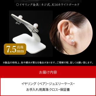 あこや本真珠ｲﾔﾘﾝｸﾞ14Kﾎﾜｲﾄゴールド N0119-YZG0105