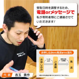 延岡よっとん Dセット N003-YB127