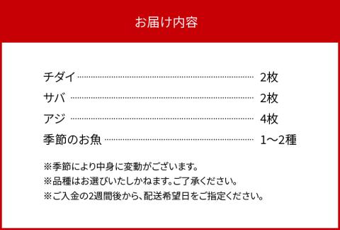 干物セットB N014-YZB240