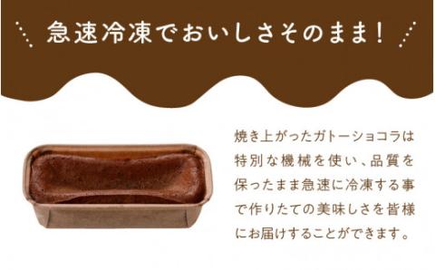 生ガトーショコラ470g冷凍 N0153-YZA149