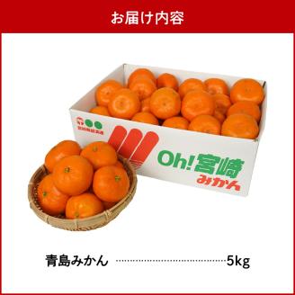 青島みかん 5kg N0132-YA4436