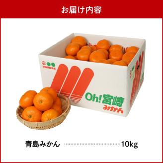 青島みかん 10kg N0132-YB351
