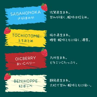 1215VEGESORBETﾍﾞｼﾞｿﾙﾍﾞ4種食べ比べｱｲｽｾｯﾄ N085-YZA733