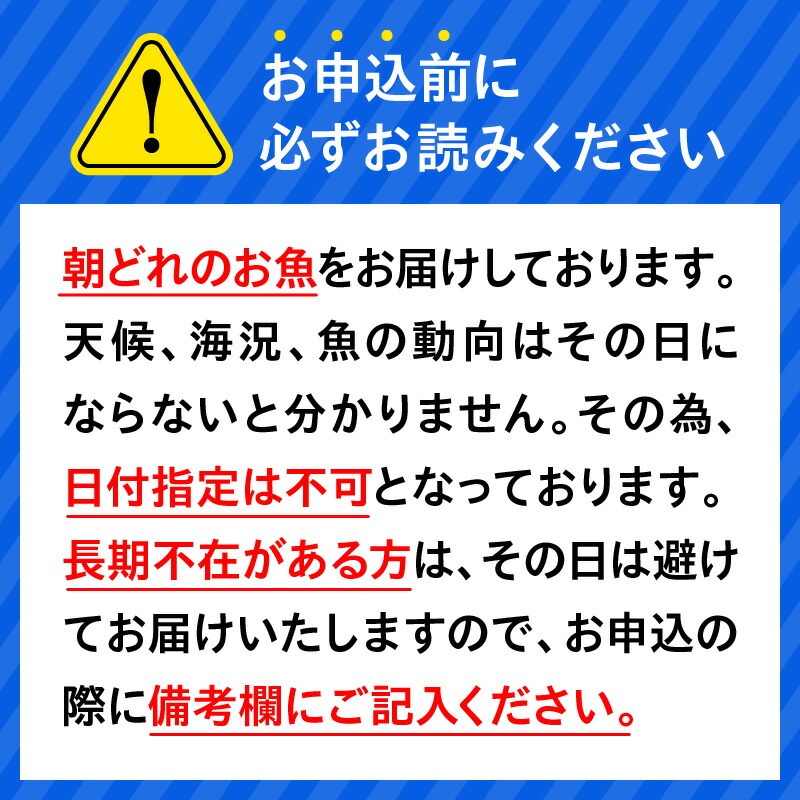 高級大和カンパチお造り4人前約320g N072-YA0434