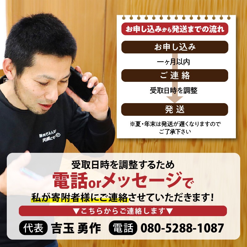 延岡よっとん ミンチセット N003-YB344