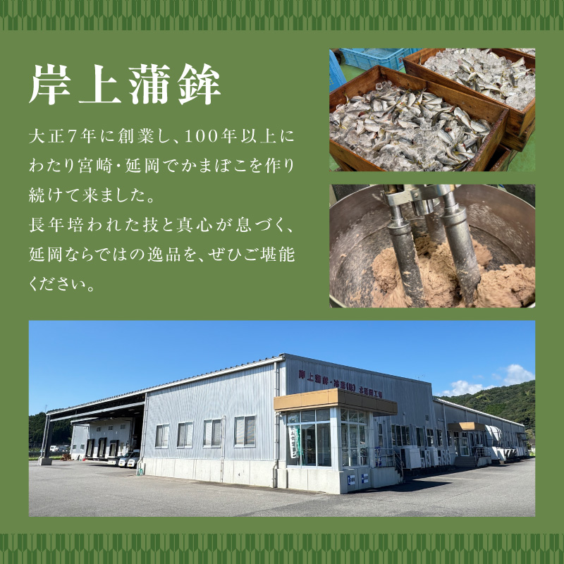 塩と地魚だけで作った天ぷらセット N006-YA4431