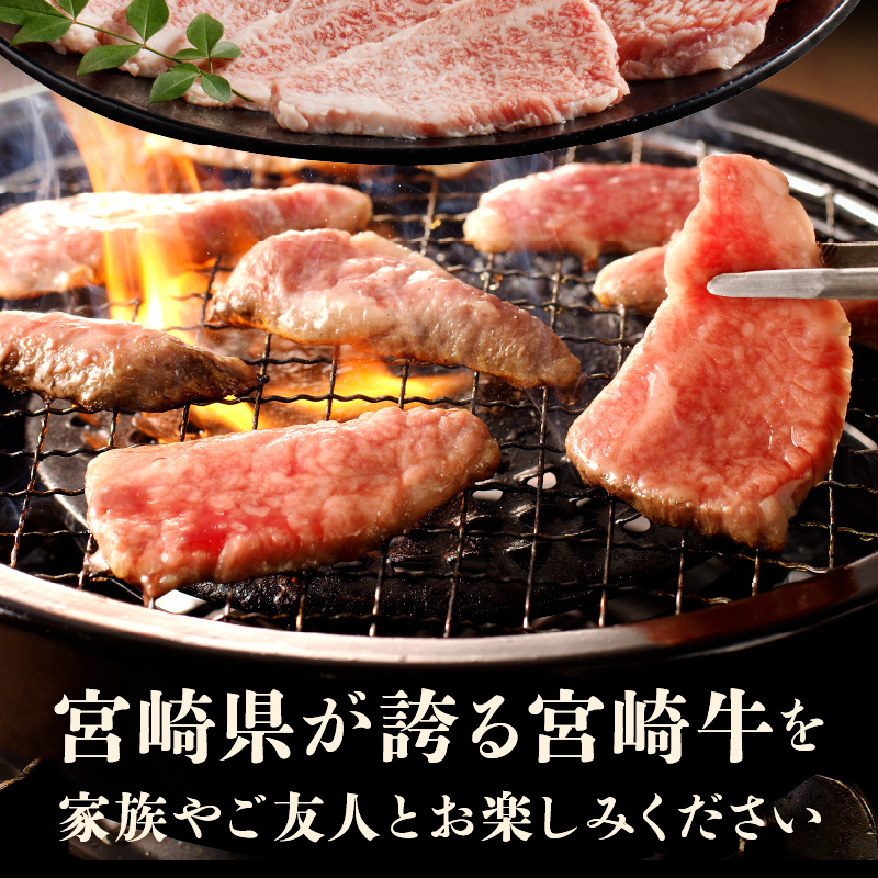 宮崎牛 肩ロース焼肉400g N0140-YA4429