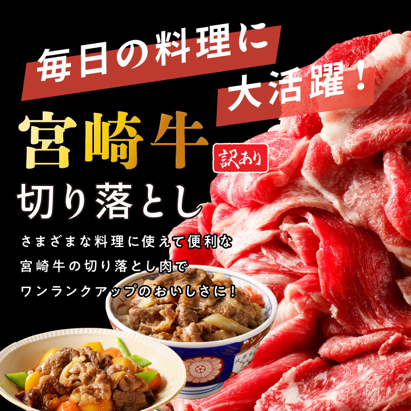 【訳あり品】宮崎牛 切り落とし1kg N0140-YA4425