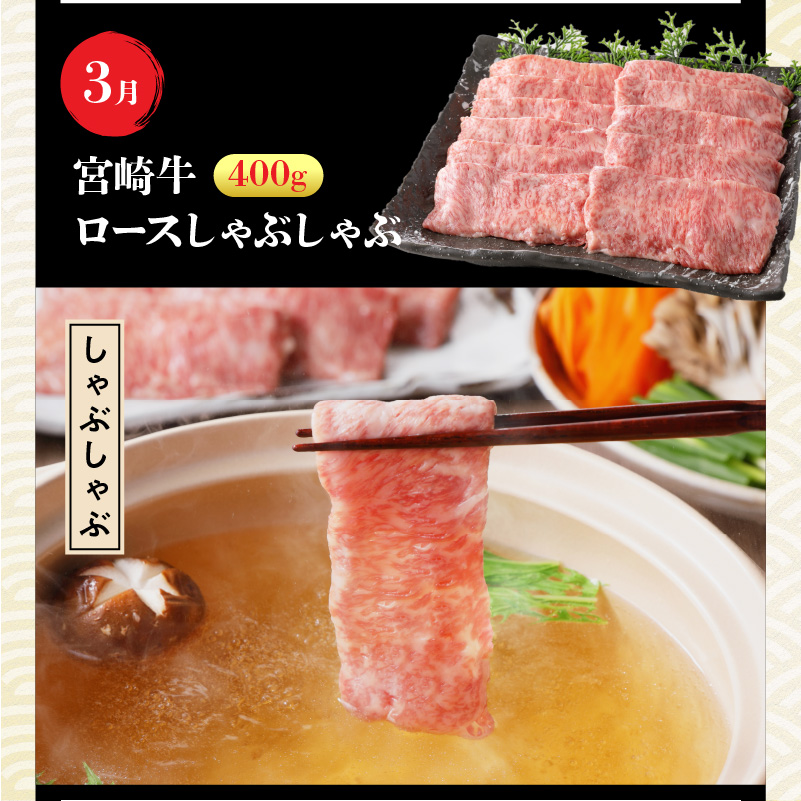 【定期便12回】宮崎牛 匠の堪能コース N0140-YG0233