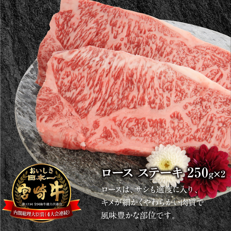 宮崎牛ロースステーキ 250g×2 計500g N0147-YB827