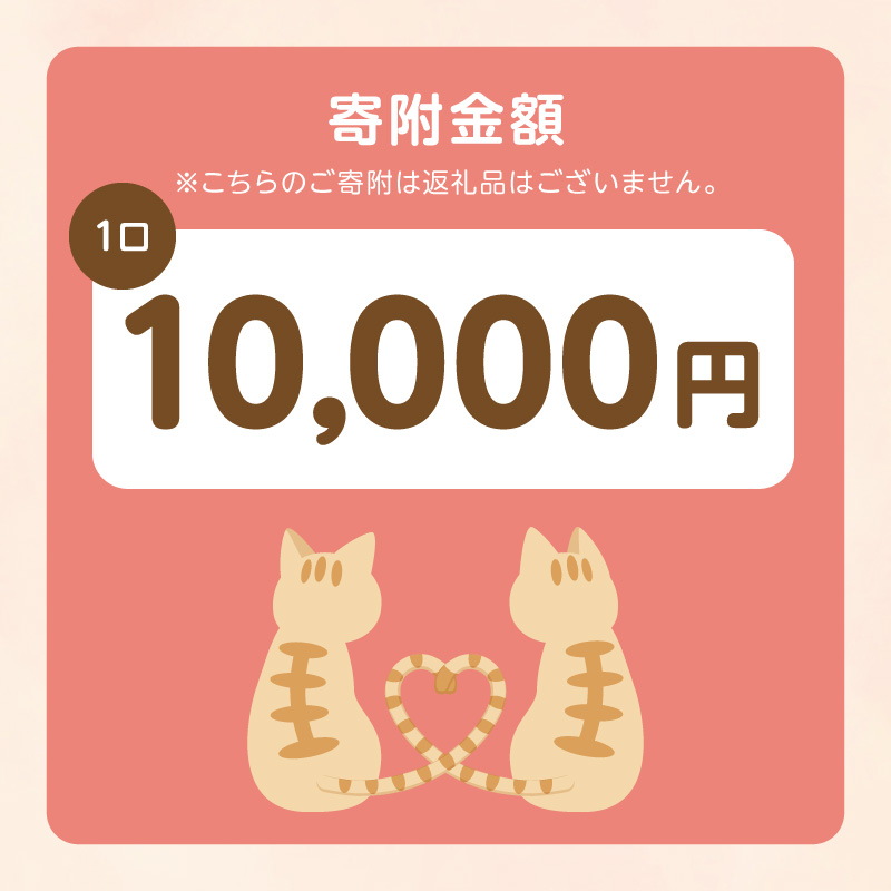 人と猫が互いに幸せになれるまちを目指して『不妊去勢手術支援プロジェクト』（返礼品はありません） N0159-9999992