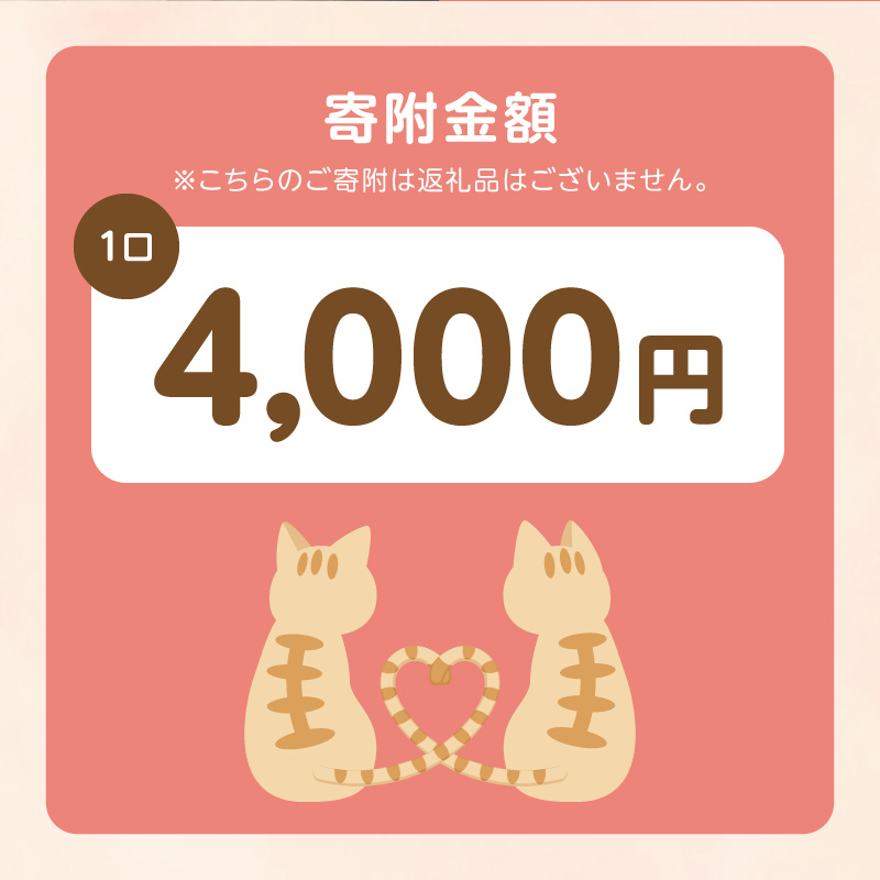 人と猫が互いに幸せになれるまちを目指して『不妊去勢手術支援プロジェクト』（返礼品はありません） N0159-9999994