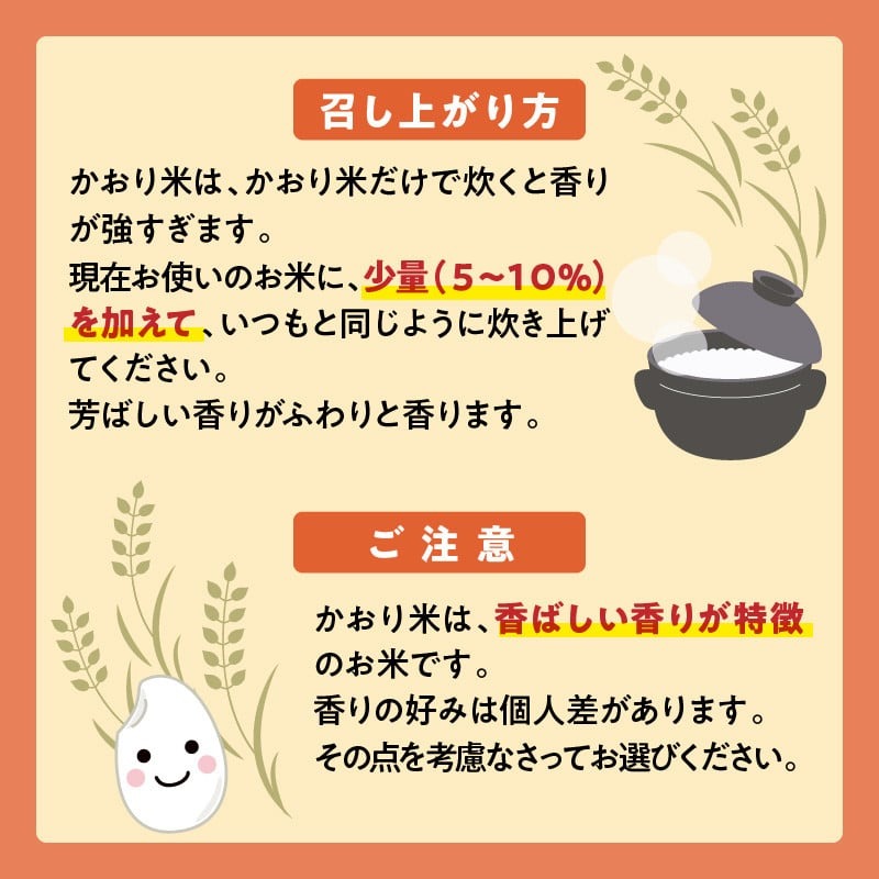 米 かおり米 500g N0182-YA0470