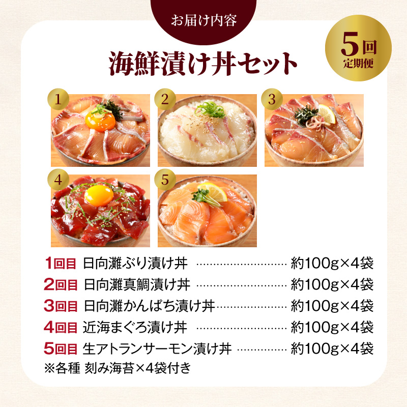 お魚の漬け丼バラエティ5回定期便 N019-YE097