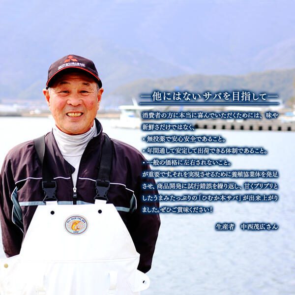 【内閣総理大臣賞受賞！】ひむか本サバ１尾(セミドレス)400ｇ以上 N025-YA0386