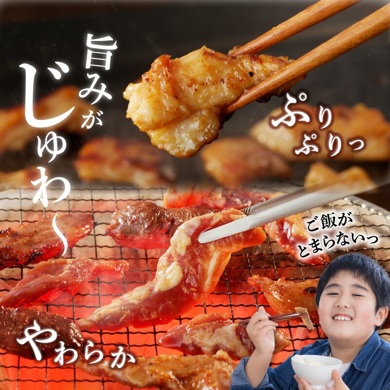 【宮崎産】豚ﾊﾗﾐ･ｻｶﾞﾘ ﾀﾚ漬け1kgと豚直腸(ﾎﾙﾓﾝ)ﾀﾚ漬け1kgのｾｯﾄ 計2kg N061-YB442