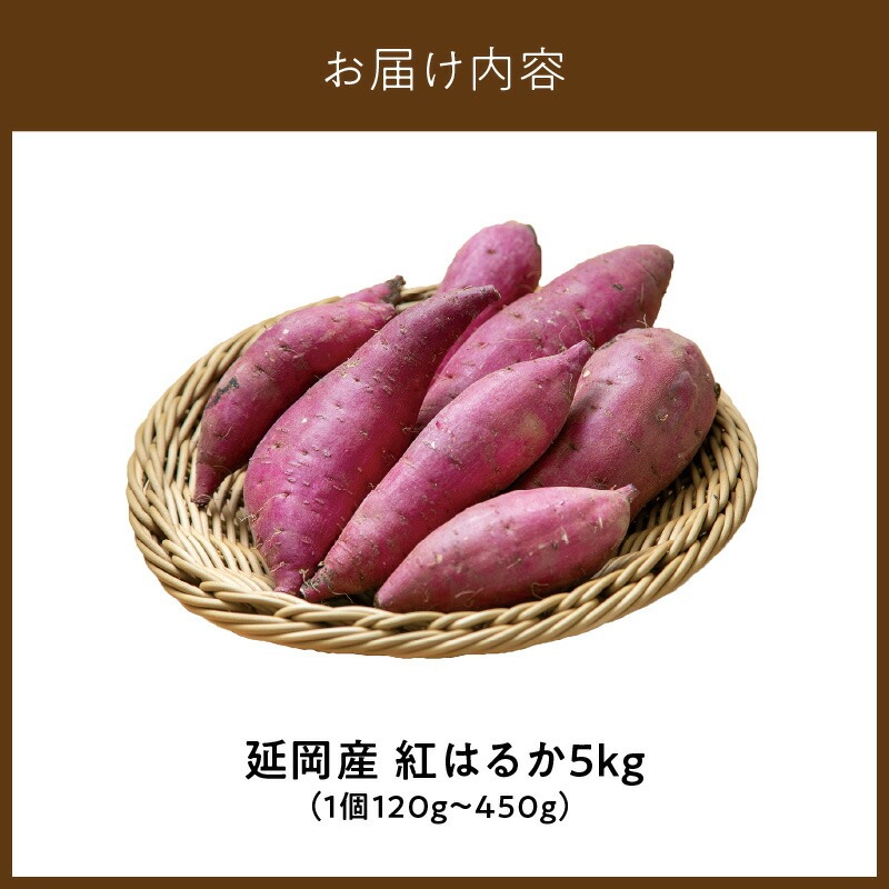 さつまいも 紅はるか 5kg　N063-YA3385