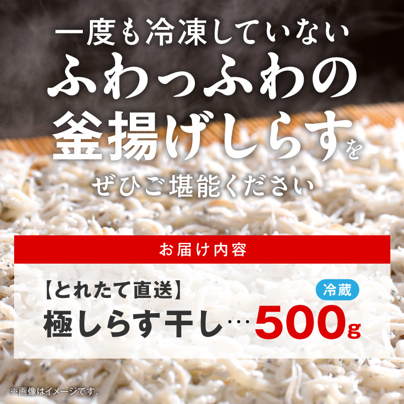 【とれたて直送】極しらす干し 500g N065-YA0509
