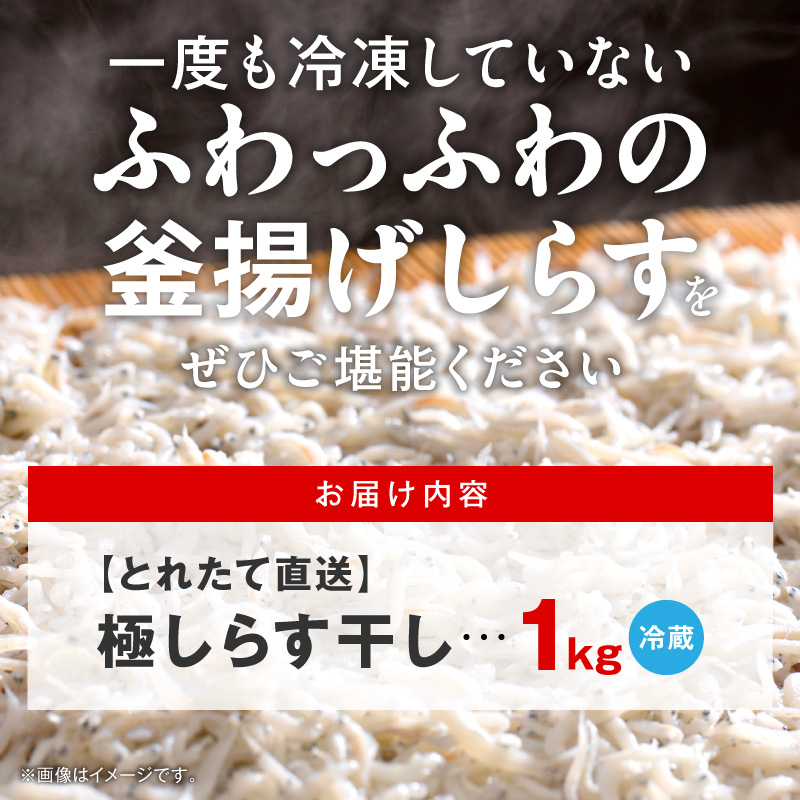 【とれたて直送】極しらす干し 1kg N065-YA4442