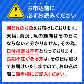 【6ヶ月定期便】大和の高級お刺身6人前 N072-YF071_2
