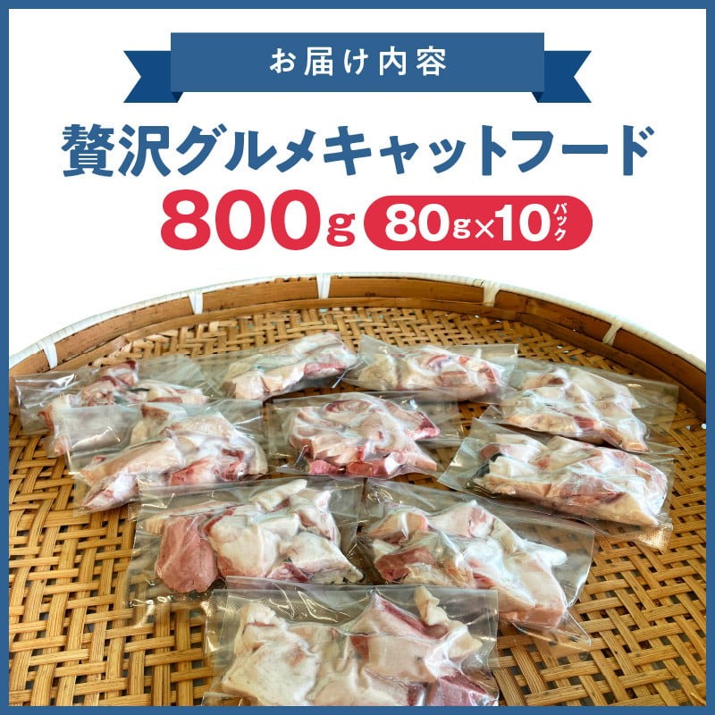 【至福の海の恵み】贅沢グルメキャットフード　N072-YA0398