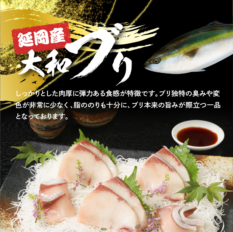 【大和海商】大和ブリの切り身 約600g N072-YA1103