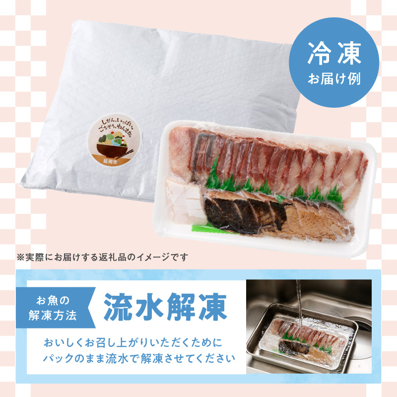 【単月お届け】大和のこだわり漁師のお刺身6人前 N072-YA3338_1