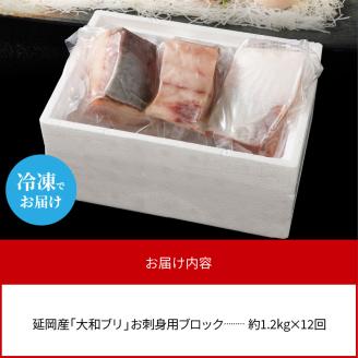 【12ヶ月定期便】大和海商大和ブリの切り身たっぷりセット N072-YH053