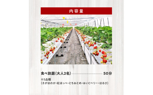 いちご狩り 5品種 食べ放題 50分 ペア 入園券 N085-YB356