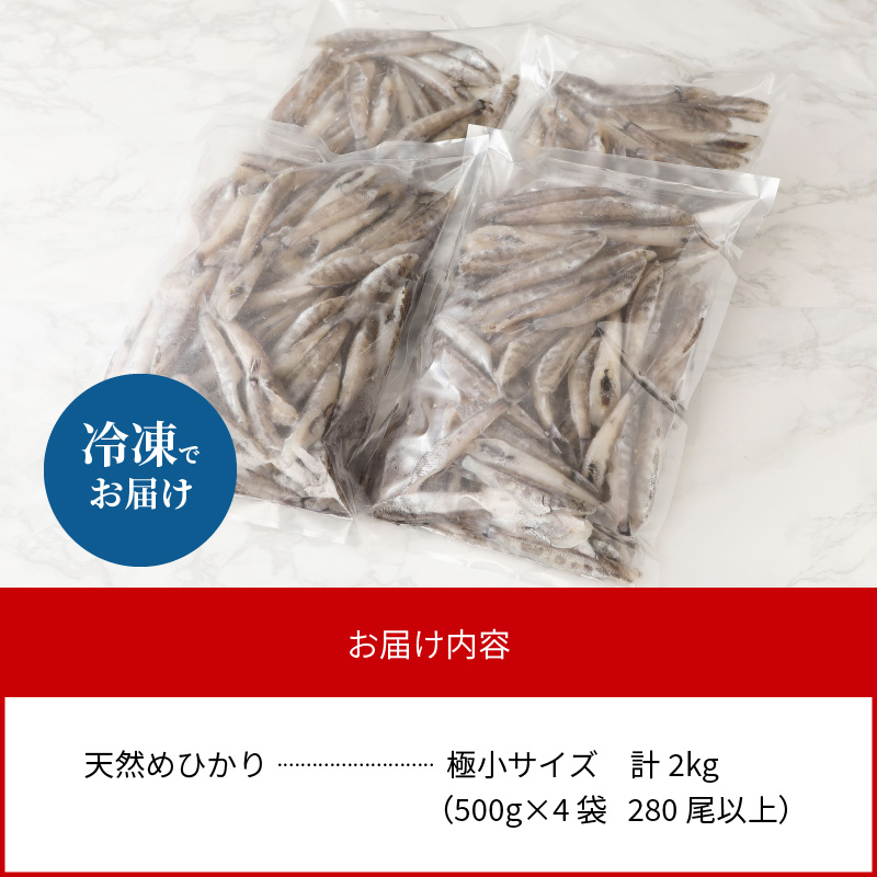 【訳あり】天然めひかり(極小ｻｲｽﾞ)500g×4袋 N124-YZA0397