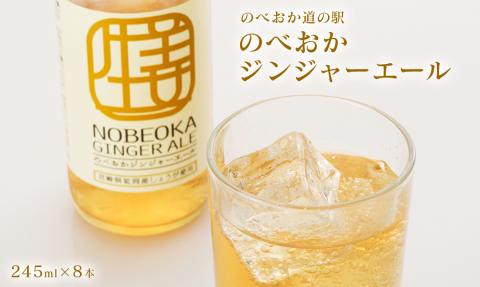 【のべおか道の駅】のべおかジンジャーエール８本 N009-YZA022