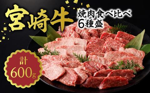 宮崎牛 焼肉食べ比べ6種盛600g N0140-YB446