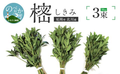 しきみ樒50cm N029-YA0147