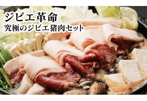 ジビエ革命～究極のジビエ猪肉セット N028-YZA508