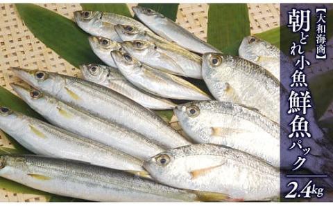 【単月お届け】大和海商の朝どれ鮮魚小魚パック2.4kg N072-YA2241