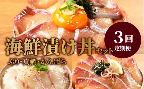 お魚の漬け丼バラエティ3回定期便 N019-YC712