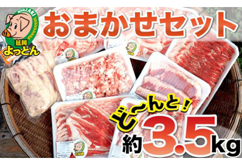 延岡よっとん おまかせセット N003-YD0248