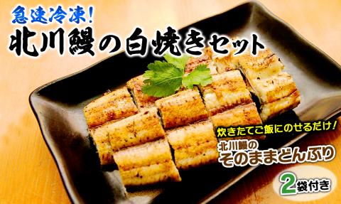 【急速冷凍】北川鰻の白焼きセット N010-YC519