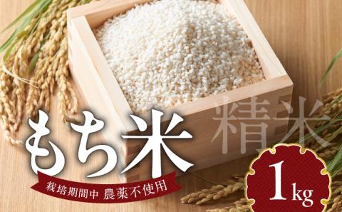 もち米1kg N0182-YA0474