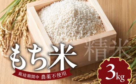 もち米3kg N0182-YA198
