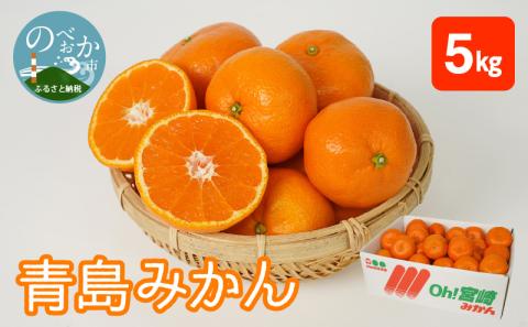 青島みかん 5kg N0132-YA4436